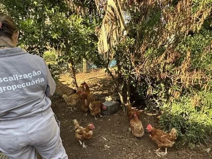 Foto: Divulgação / Seapi / CP