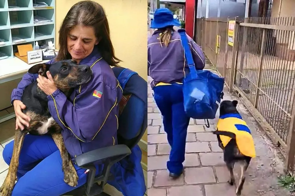 Paraí/RS - Cão acompanha carteira dos Correios há dez anos e ganha uniforme inspirado na instituição