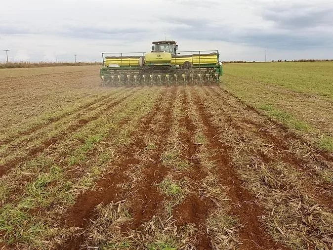 Foto: Álvaro Resende / Embrapa Milho e Sorgo