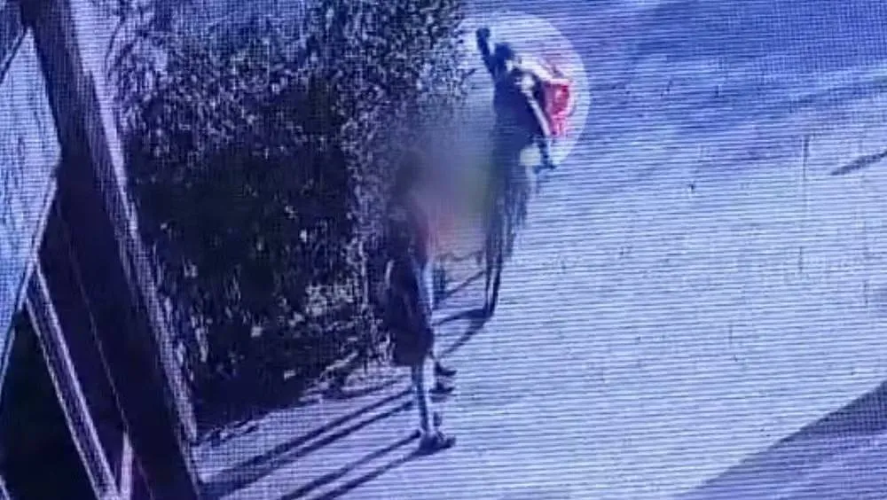 Foto: Polícia Civil/Divulgação