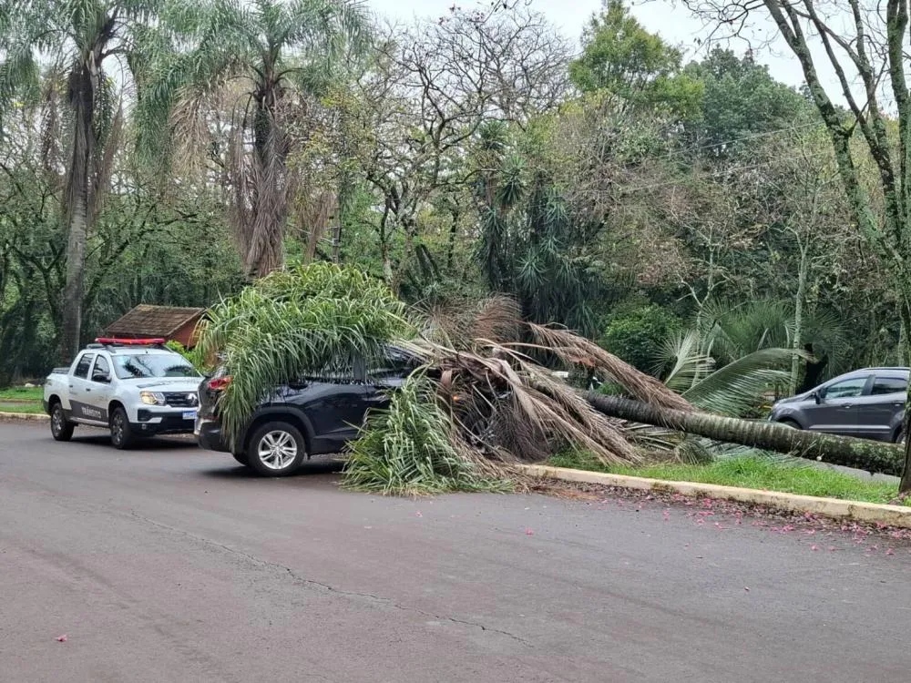 Foto: Caçadores de Notícias