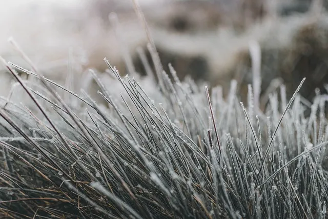 Frio no RS deve trazer temperaturas de até -1°C e possibilidade de geada