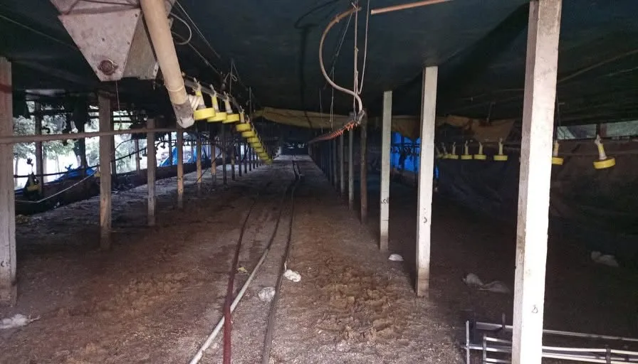 Foto: Agência Impacto