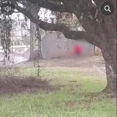 Foto: Grupo Planalto de Comunicação/Divulgação