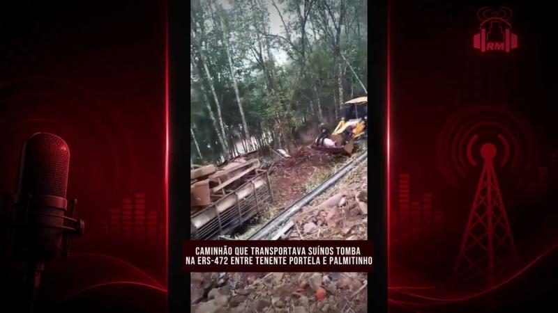 Caminhão que transportava suínos tomba na ERS-472 entre Tenente Portela e Palmitinho